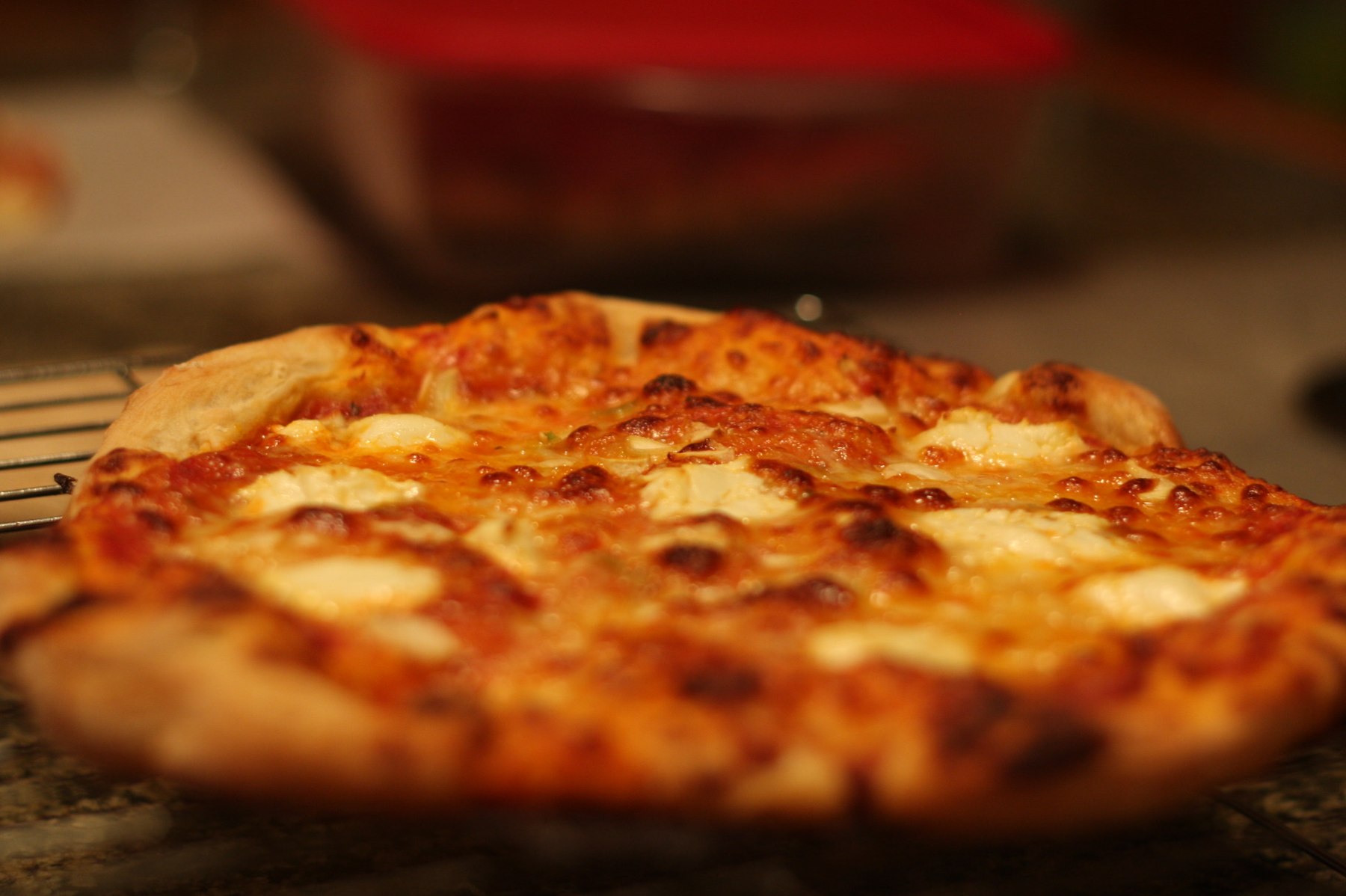 Plain Cheese, August Edition